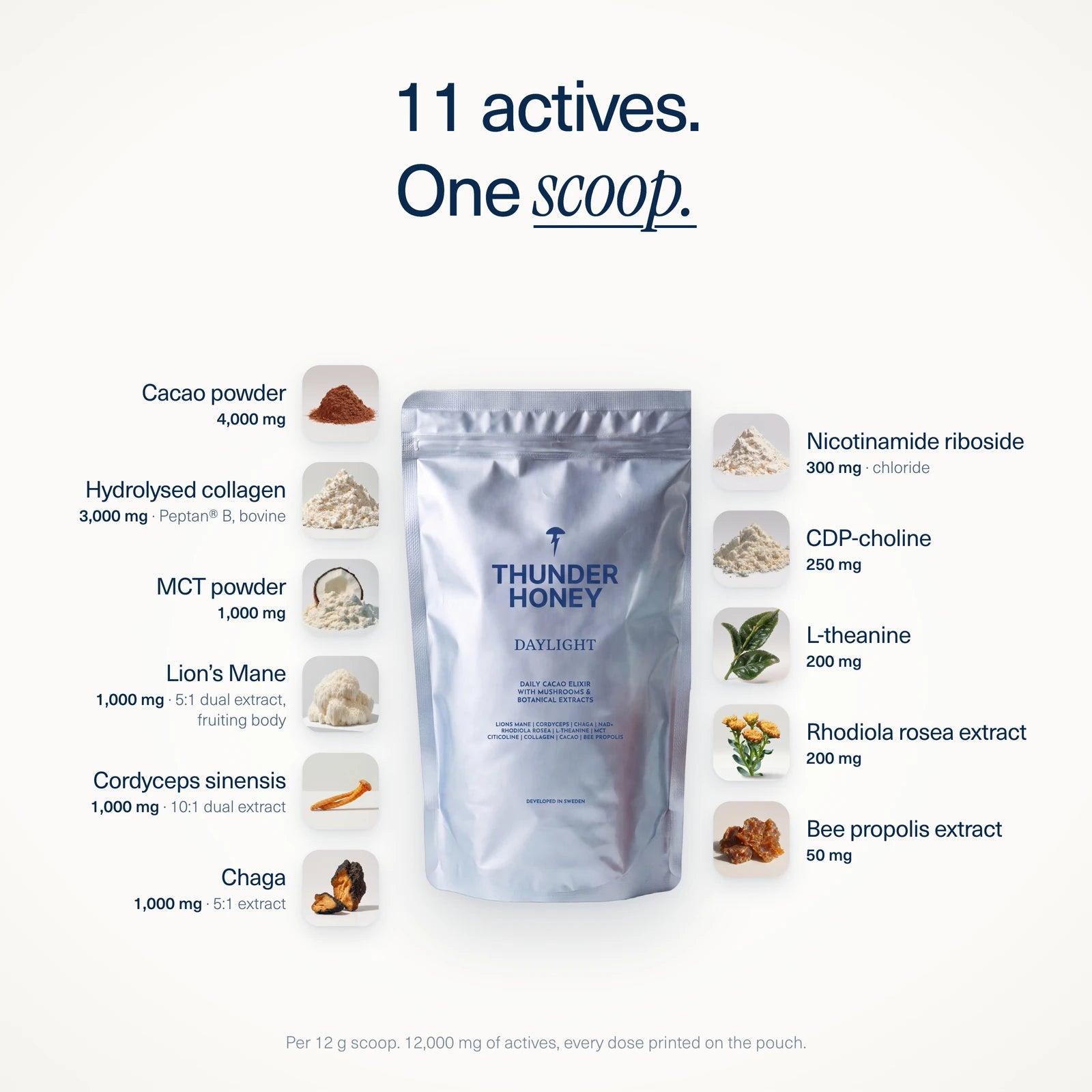 11 actives, one scoop: the Daylight pouch surrounded by its eleven actives and their doses per 12 g scoop, from 4,000 mg cacao powder to 50 mg bee propolis extract