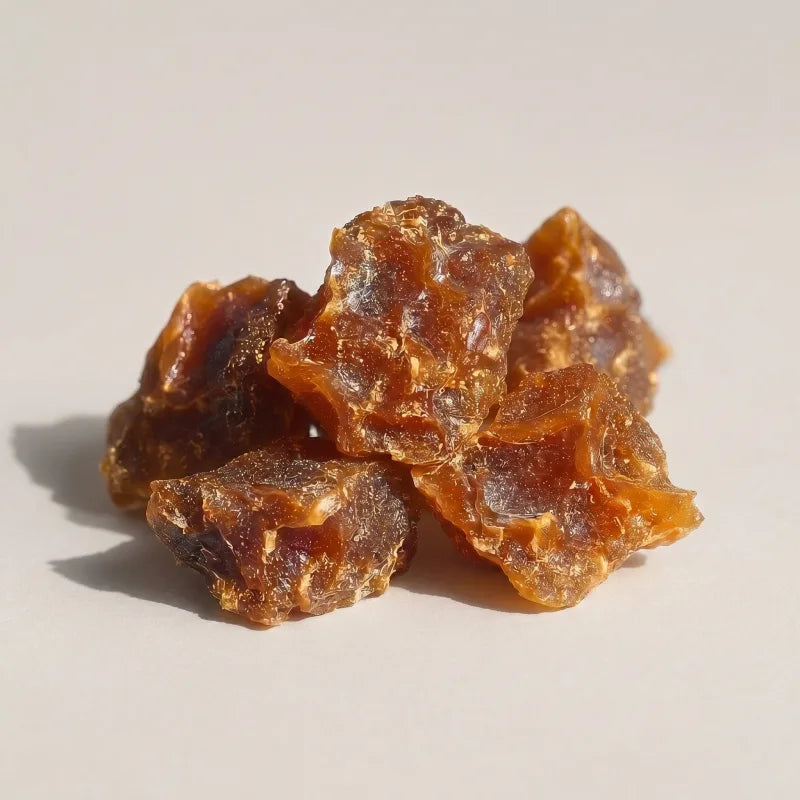 Bee propolis raw resin extract, studio close-up