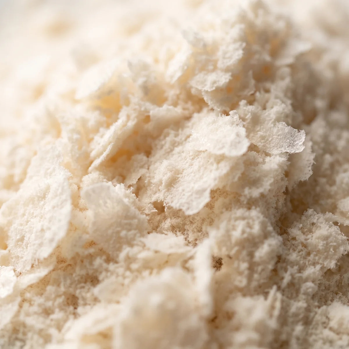 Collagen peptides up close, an ivory, fluffy powder with fine flakes