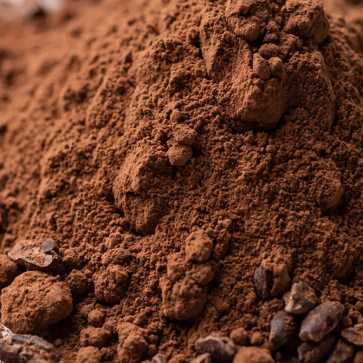 Cacao powder up close, a cocoa-brown heap scattered with matte cacao nibs